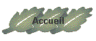 Accueil