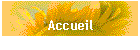 Accueil